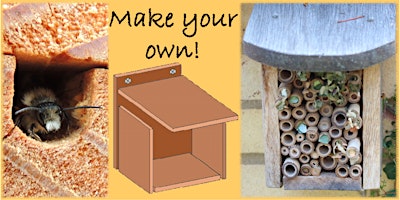 Imagem principal de Build a Bee Hotel