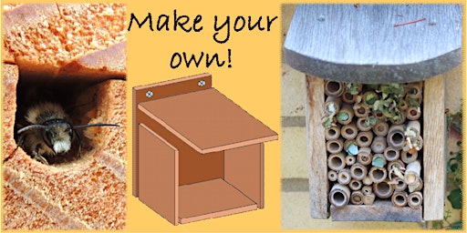 Image principale de Build a Bee Hotel