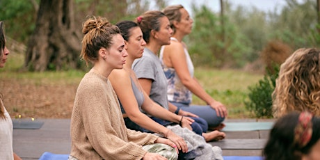 Gratis Online Infoavond | Yin Yoga Opleiding in Maastricht en Nijmegen