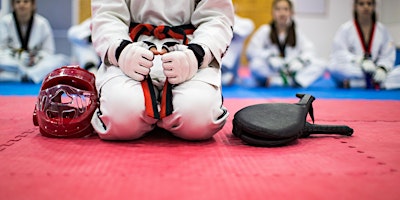 TKWSu24 - Taekwondo AFTER SCHOOL - School year 3-8 - X04W primary image