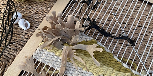 Imagem principal de Natural Coastal Weaving with Le Petit Moose
