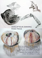 Immagine principale di Coastal Drawing with Kathleen Cowie 