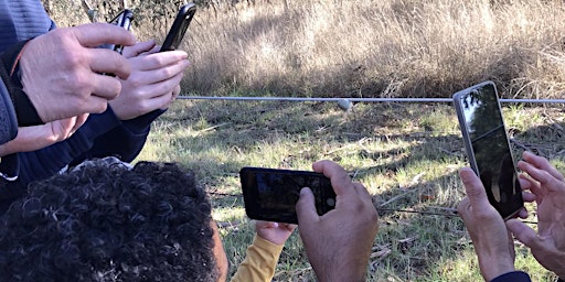 Immagine principale di City Nature Challenge 2024 bird & flora bushwalk at Mt Ridley NCR 