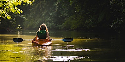 Primaire afbeelding van A Journey Down The River