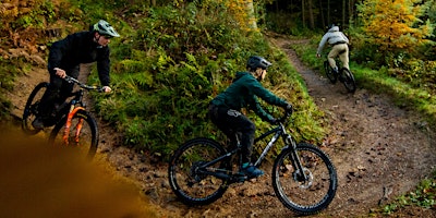 Immagine principale di Mountain Bike Fundamentals 