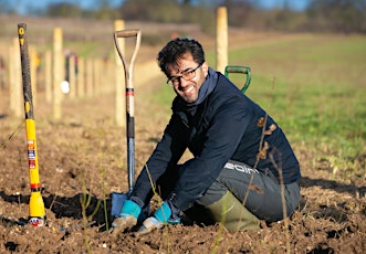 Creating Hedges and Habitat Connections along the Misbourne Greenway