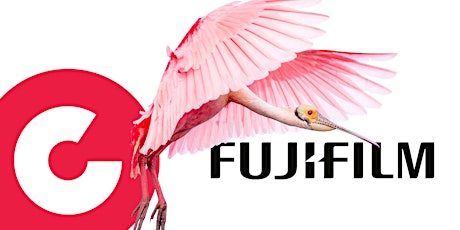 Fujifilm Fotowalk Hamburg: Fujifilm System