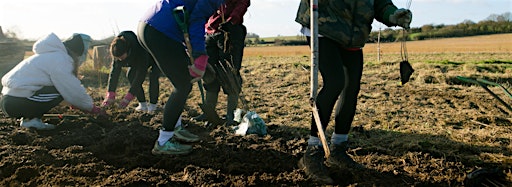 Collection image for Misbourne Greenway Hedge Planting