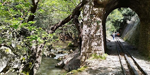 Hauptbild für apo-drasis.gr - 7/4/24 -Στο Φαράγγι του Βουραϊκού, παρέα με τις «Ναϊάδες»