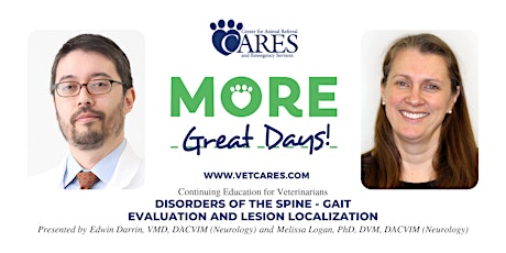 Veterinarian Continuing Education: Disorders of the Spine - Gait Evaluation and Lesion Localization primary image