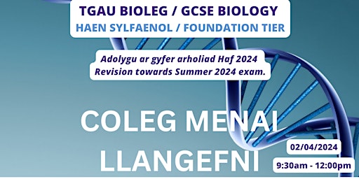 Imagem principal do evento Adolygu TGAU Bioleg  SYLFAENOL - Biology FOUNDATION GCSE Revision