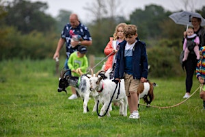 Primaire afbeelding van Mini farmer experience