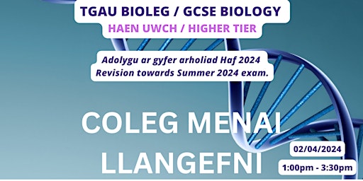 Adolygu TGAU Bioleg  UWCH - Biology HIGHER GCSE Revision primary image