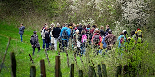 Hauptbild für ARPENTER LES PAYSAGES