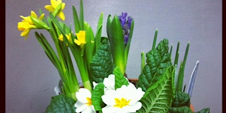 Create your own Spring Plant Pot Arrangement