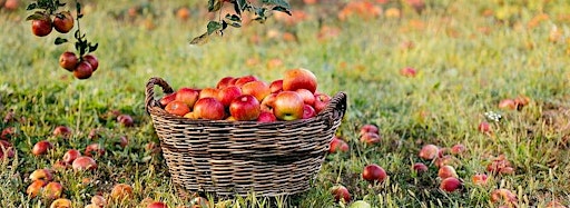 Collection image for Apple Festival