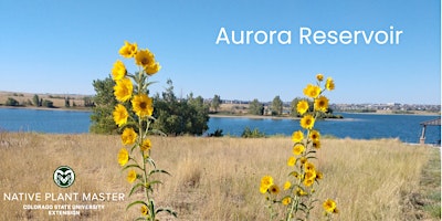 Hauptbild für 2024 NPM Course Aurora Reservoir - June 14, 21, and 28  7:30am - 12:00pm