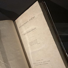 Image principale de ‘Waters on a Starry Night’: P.B. Shelley’s Poetic Reflections on Wordsworth