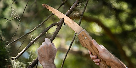 Pruning Shrubs and Trees primary image