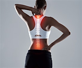 FREE Spine and Posture Checks