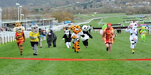 Sue Ryder Mascot Race Cheltenham 2024  primärbild