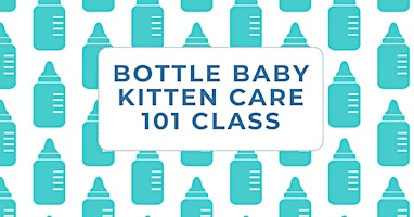 Bottle Baby Kitten Care 101 primary image