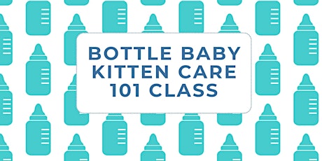 Bottle Baby Kitten Care 101