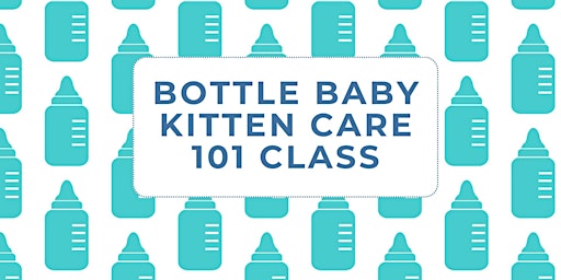 Bottle Baby Kitten Care 101 primary image