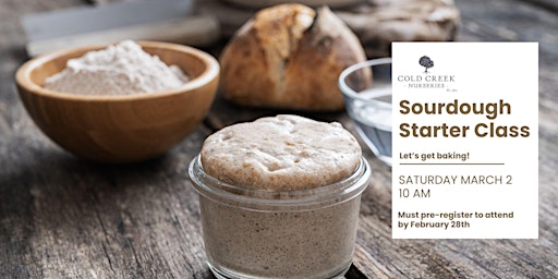 Sourdough Starter Class: Let's Get Baking! primary image