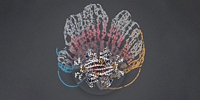 Hauptbild für UCL Computational Cancer Collaboratorium Seminar Series