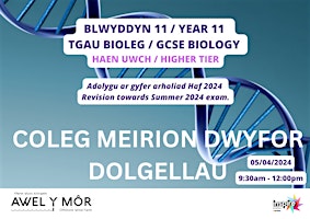 Adolygu TGAU Bioleg  UWCH - Biology HIGHER GCSE Revision primary image