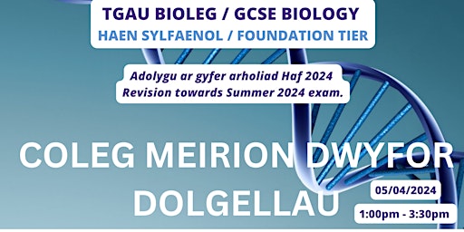 Imagem principal do evento Adolygu TGAU Bioleg  SYLFAENOL - Biology FOUNDATION GCSE Revision
