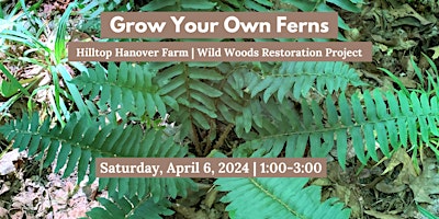 Imagem principal do evento Grow Your Own Ferns