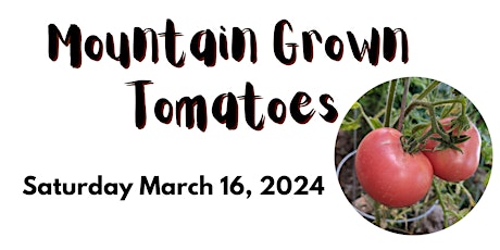 Image principale de Mountain Grown Tomatoes