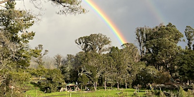 Hauptbild für Spring Day Retreat: Yoga and Nature on the California Coast