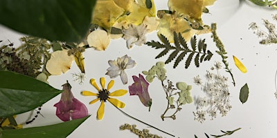 Flower Pressing Workshop primary image