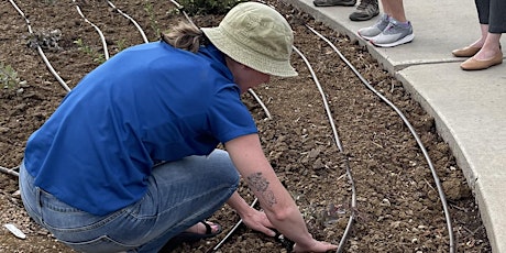 Aurora Water Conservation Class: Build Your Own Drip Irrigation System