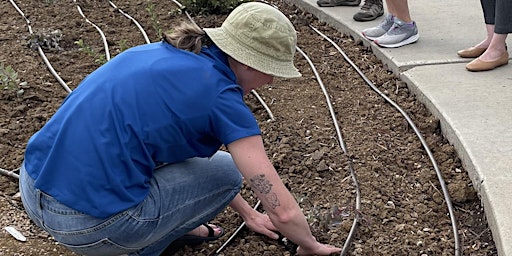 Primaire afbeelding van Aurora Water Conservation Class: Build Your Own Drip Irrigation System