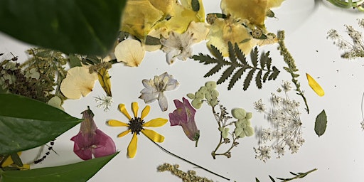 Flower Pressing Workshop primary image