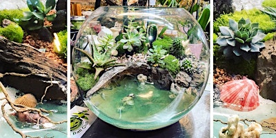 Beach terrarium workshop primary image