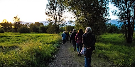 Night Hike primary image