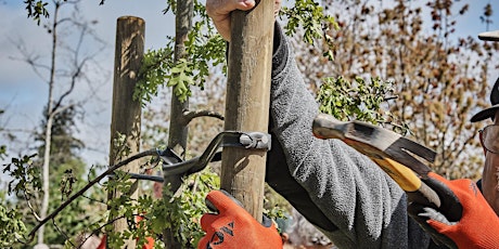 Community Forestry School primary image