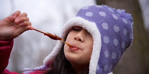 Maple Syrup Festival primary image