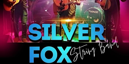 Imagen principal de Silver Fox String Band