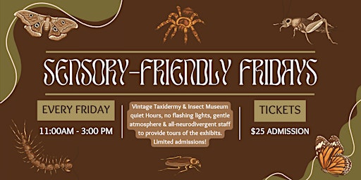 Sensory Friendly Friday primary image