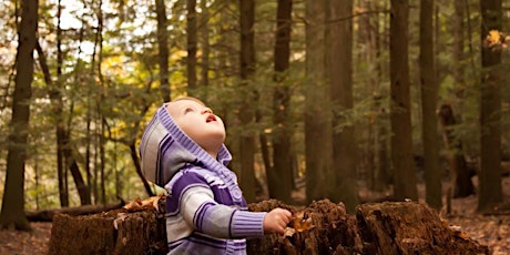 Toddler and child group in beautiful woodland