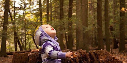 Hauptbild für Toddler and child group in beautiful woodland