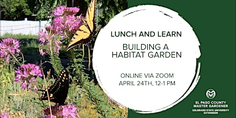 Building a Habitat Garden primary image