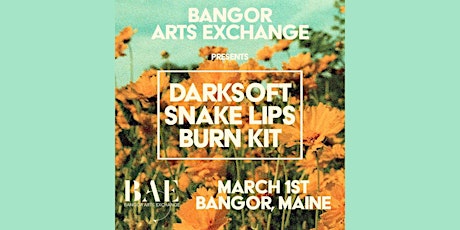 Primaire afbeelding van Darksoft, Snake Lips + Burn Kit at the Bangor Arts Exchange