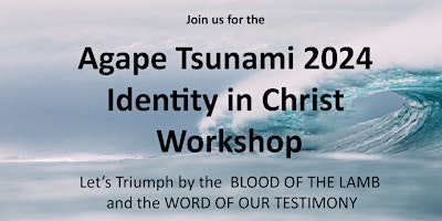 Imagen principal de Agape Tsunami 2024